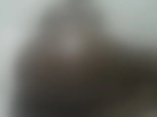 Live sex webcam photo for loreen #291657271