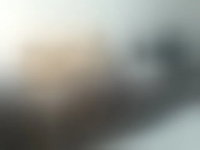Live sex webcam photo for loreen #293982897