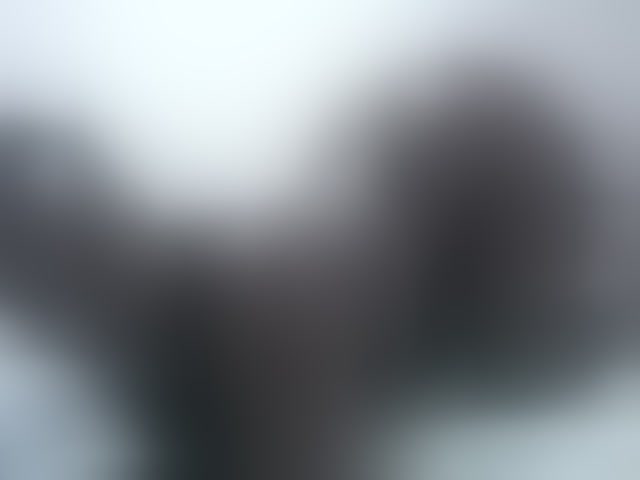 Live sex webcam photo for loreen #294016501