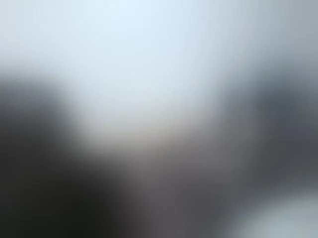Live sex webcam photo for loreen #294063862