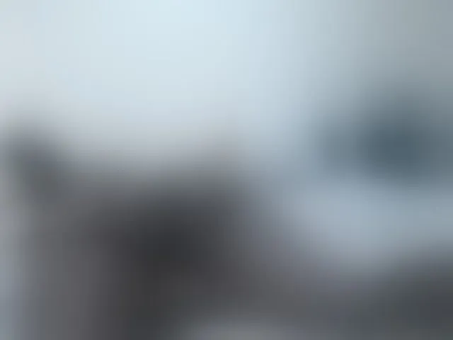 Live sex webcam photo for loreen #294093630