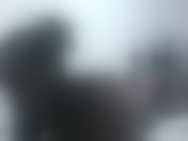 Live sex webcam photo for loreen #294113986