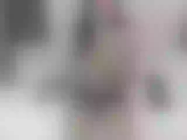 Live sex webcam photo for loren-fox2 #278249585