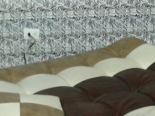 Live sex webcam photo for Lorryxxx #128601808