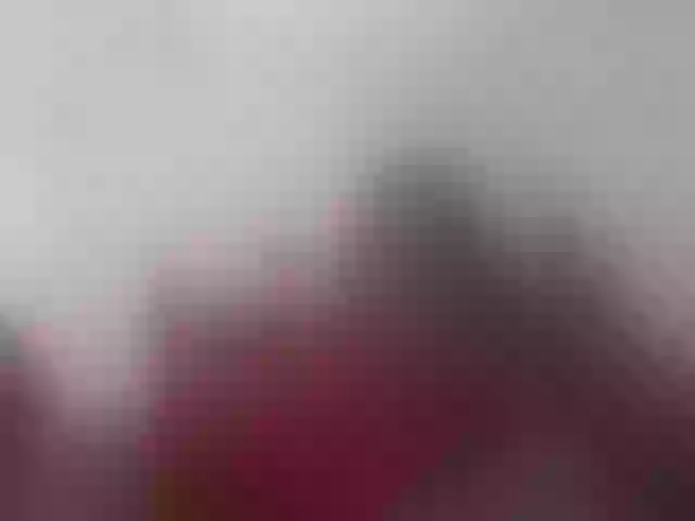 Live sex webcam photo for lost888a #274300541