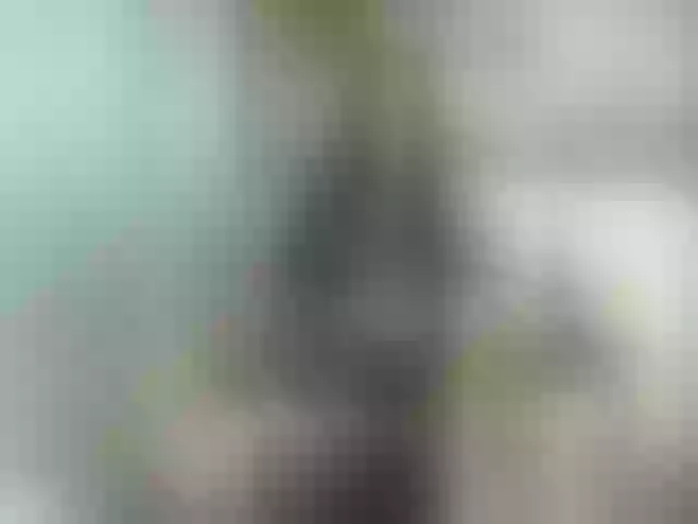 Live sex webcam photo for lost888a #275646237