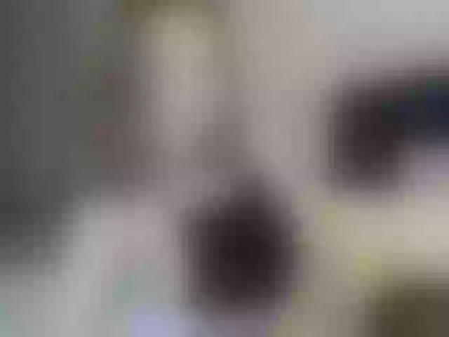 Live sex webcam photo for lostmoon #291881421