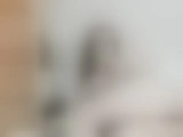 Live sex webcam photo for lostmoon #293055522