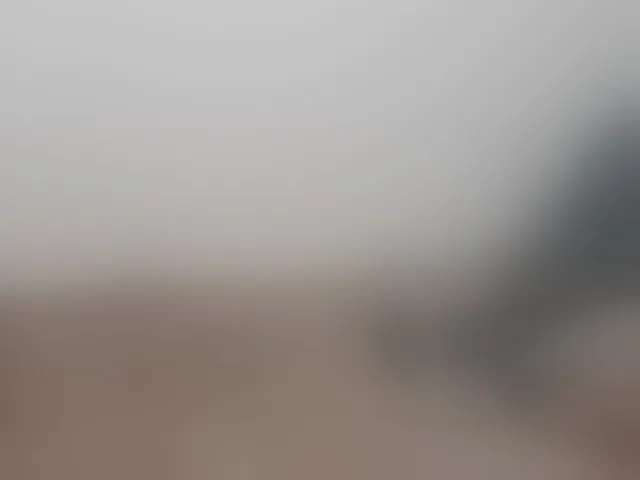 Live sex webcam photo for lostmoon #293822786