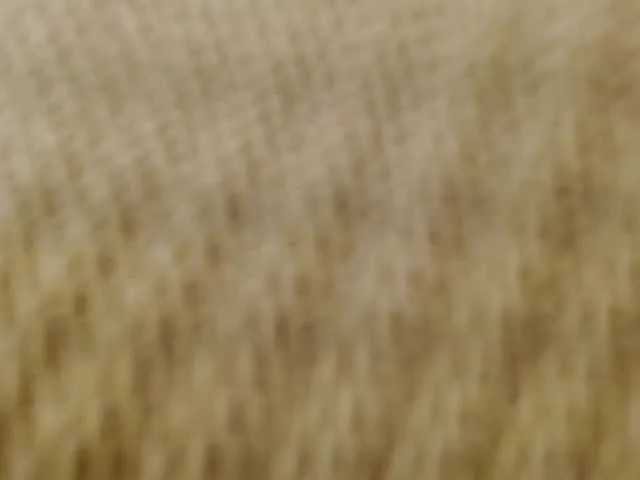 Live sex webcam photo for louisk2 #290375918