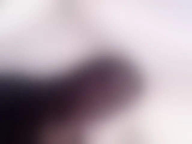 Live sex webcam photo for louisk2 #293974756