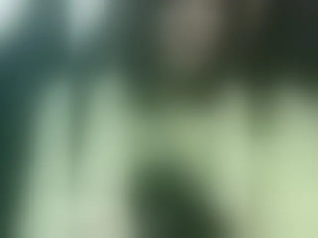 Live sex webcam photo for lovehornyman #292606328