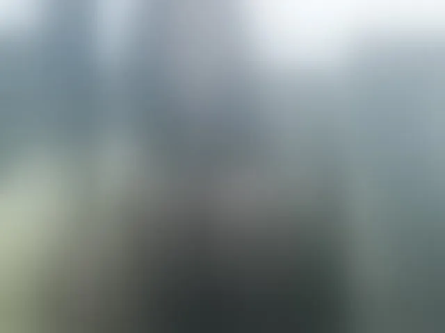 Live sex webcam photo for lovehornyman #293434973