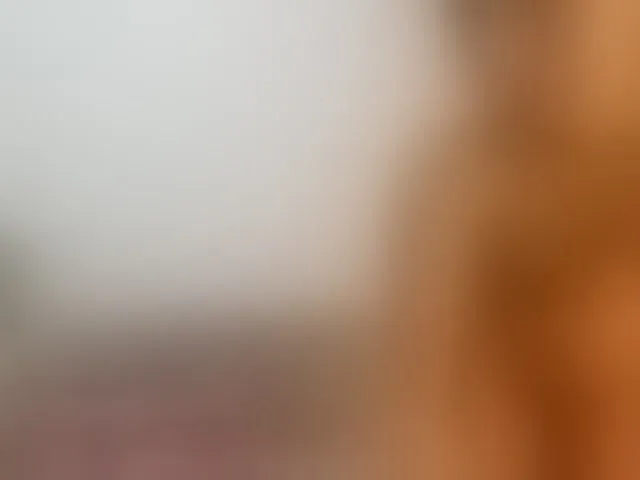 Live sex webcam photo for lovemexoxo #293862332