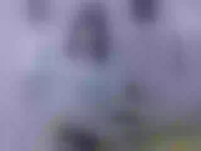 Live sex webcam photo for Loversinfire #292054878