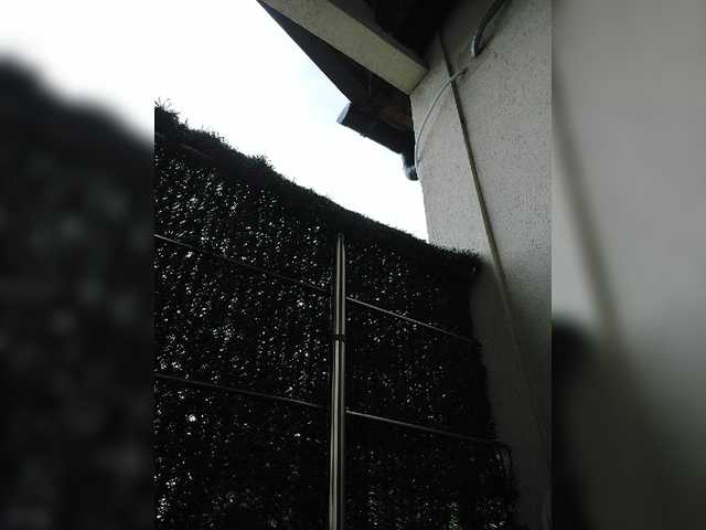 Live sex webcam photo for lovewildguy #274390988