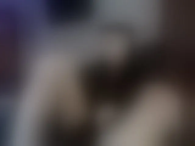 Live sex webcam photo for lucas-slv #292605766