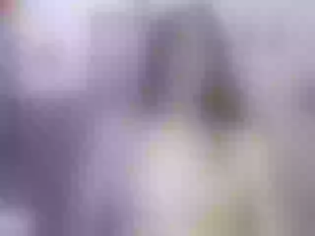 Live sex webcam photo for luci-rousse #277526414