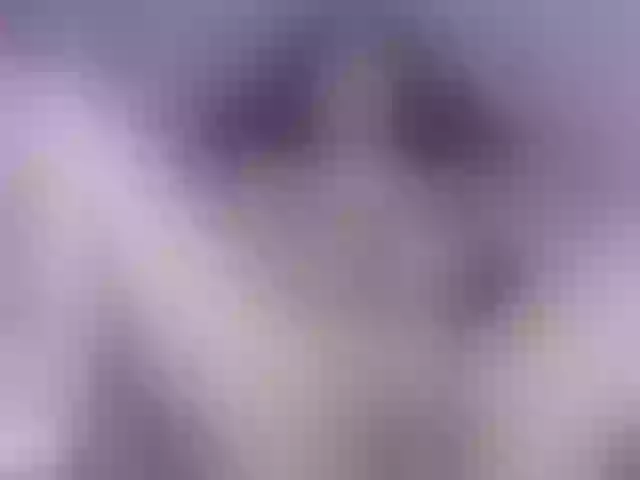 Live sex webcam photo for luci-rousse #277553891