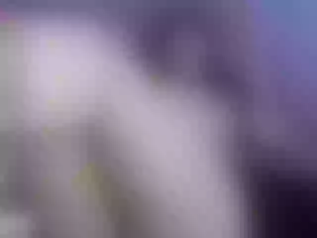 Live sex webcam photo for luci-rousse #277686997