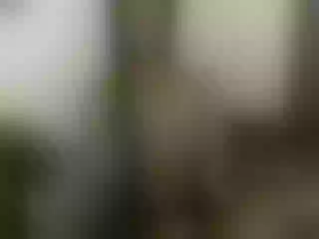 Live sex webcam photo for lucianadolll #290748200