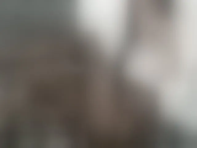 Live sex webcam photo for lucianadolll #291052242