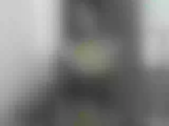 Live sex webcam photo for lucianadolll #291492609