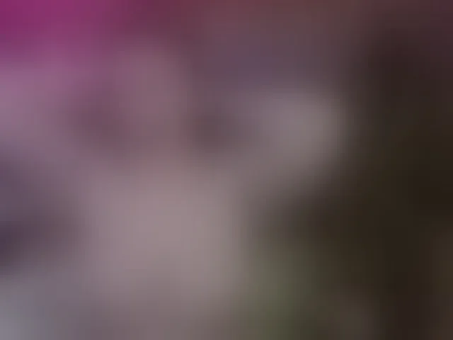 Live sex webcam photo for lucyallen4201 #292501315