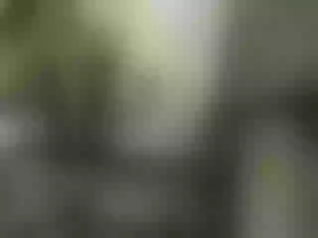 Live sex webcam photo for lufe8altry #273870207