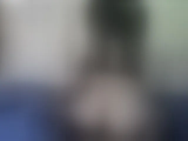 Live sex webcam photo for lufe8altry #274077357