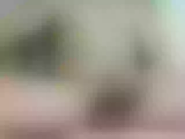 Live sex webcam photo for luisplus #273144588