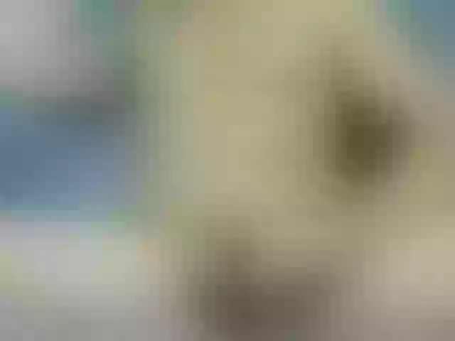 Live sex webcam photo for luisplus #274686024