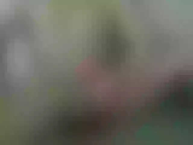 Live sex webcam photo for luisplus #277341493