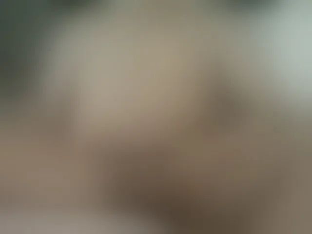 Live sex webcam photo for luisplus #277661105