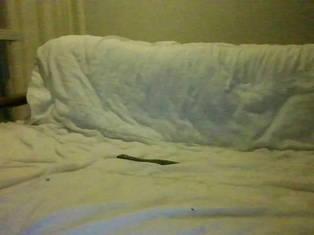 Live sex webcam photo for luisplus #290370863