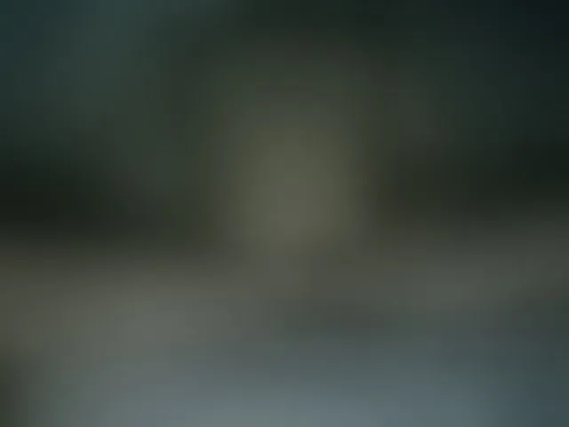 Live sex webcam photo for luisplus #292414015