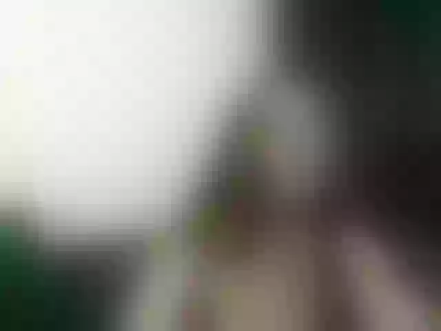 Live sex webcam photo for lulu-dragon #273149563