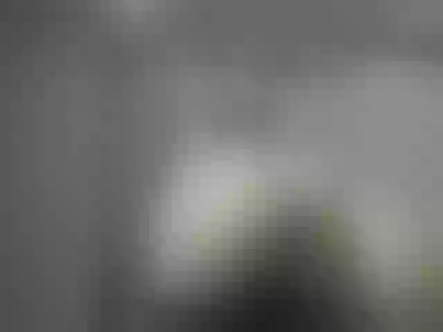 Live sex webcam photo for lulu15a #291059748