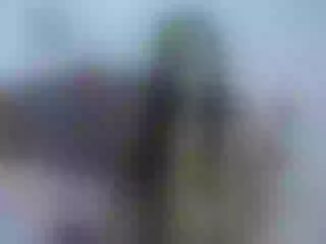 Live sex webcam photo for luna-alisson #274079598