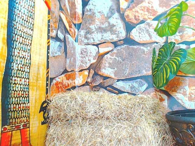 Live sex webcam photo for luna5rusell #274345141