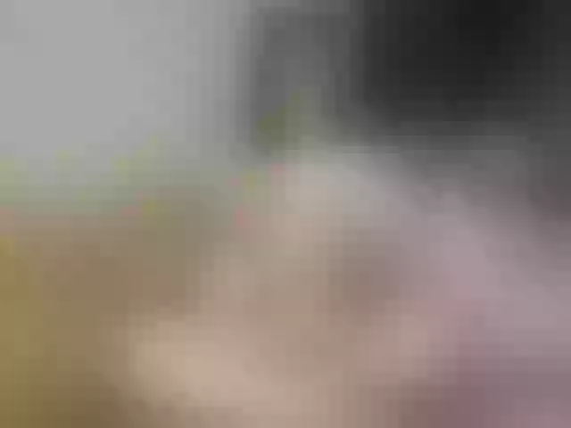 Live sex webcam photo for lunafalkon #275510971