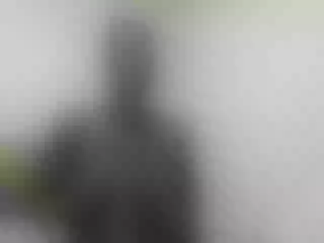 Live sex webcam photo for lush-ness #291047316