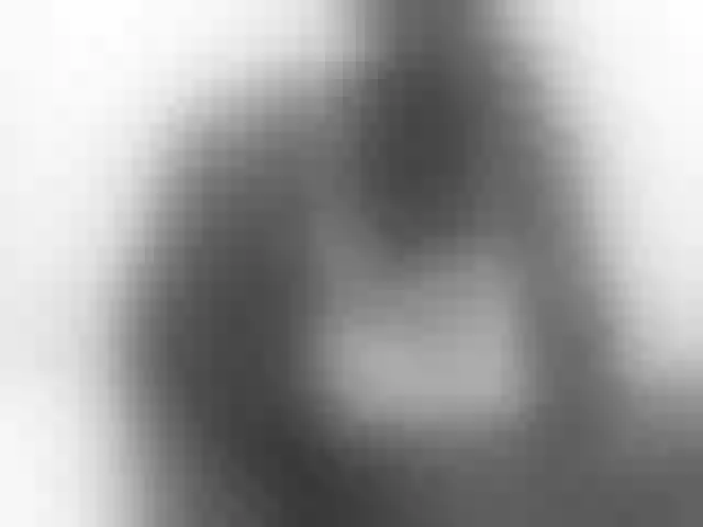 Live sex webcam photo for lush-ness #291300996