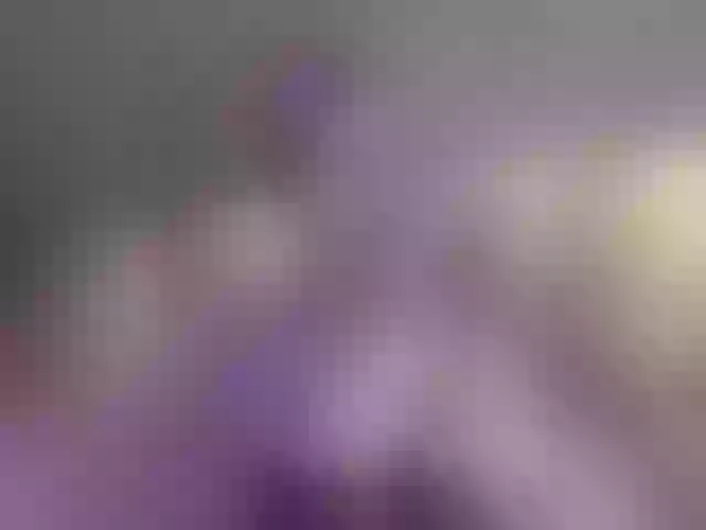 Live sex webcam photo for lustful-angels #290419438