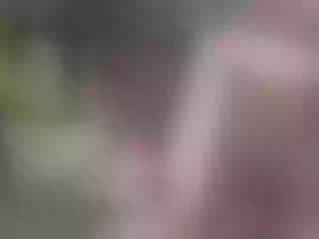 Live sex webcam photo for luvsoak #289224574