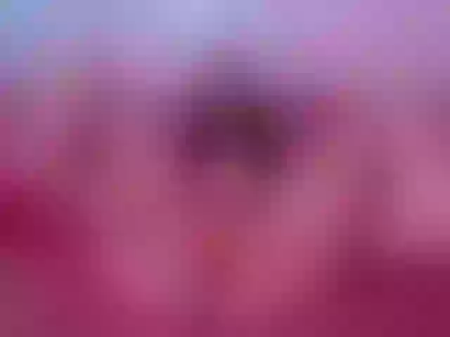 Live sex webcam photo for luxy-ary #292158574