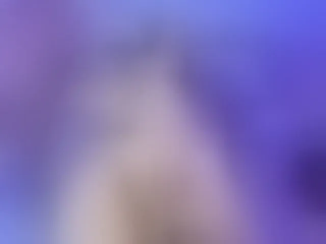 Live sex webcam photo for luxy-ary #294061774