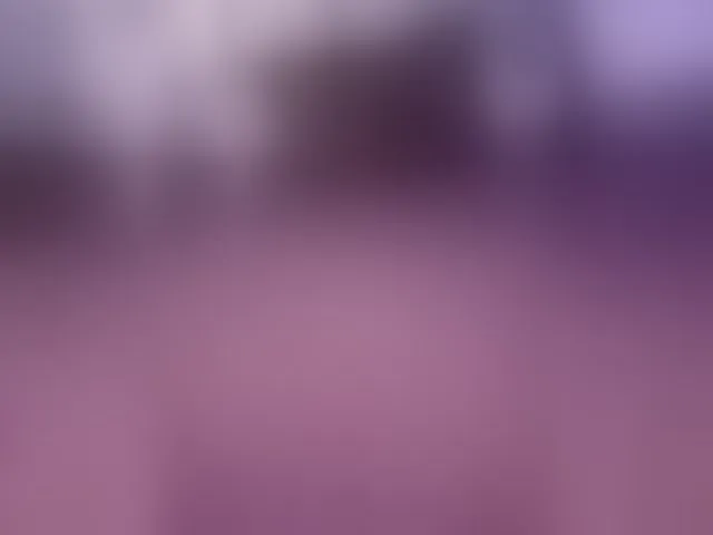 Live sex webcam photo for lxc999 #293754431