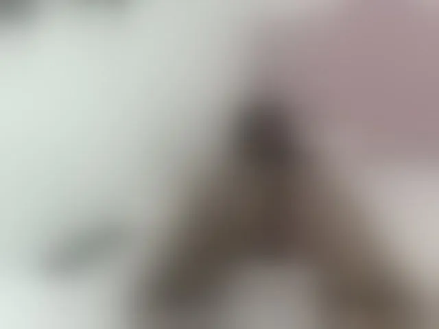 Live sex webcam photo for lylybrow #272274218