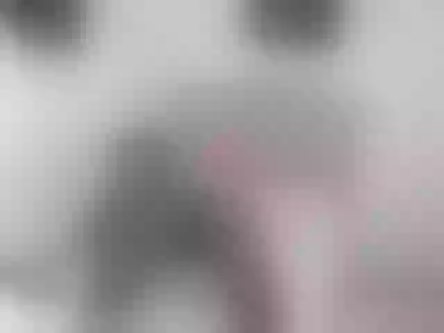 Live sex webcam photo for lylybrow #272443628